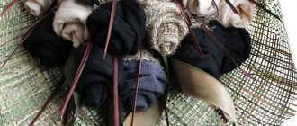 Букет из носков для мужчины своими руками: Мастер-классы пошагово с фото и видео, как сделать мужской букет из трусов и носков (новые идеи)