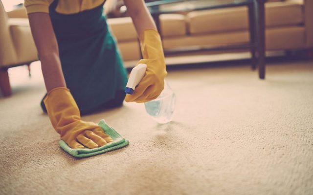Как почистить ковер в домашних условиях быстро и эффективно: лучшие способы без бытовой химии