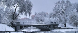 Какая будет погода в Москве и Московской области в январе 2019 года: прогноз Гидрометцентра