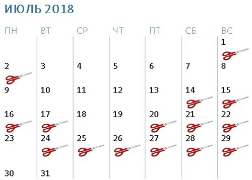 Лунный календарь стрижек на июль 2018 года — таблица, когда стричь и красить волосы в июле 2018 по Оракулу