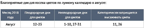 Посевной календарь на август 2018 для огородников и цветоводов, таблица для Подмосковья и Средней полосы России