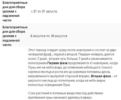 Посевной календарь на август 2018 для огородников и цветоводов, таблица для Подмосковья и Средней полосы России