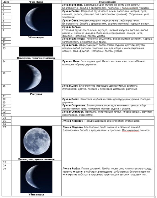 Лунный посевной календарь на июль 2018 года для огородников и цветоводов средней полосы России и Подмосковья: таблица с благоприятными днями