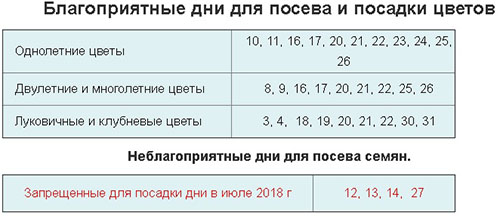 Лунный посевной календарь на июль 2018 года для огородников и цветоводов средней полосы России и Подмосковья: таблица с благоприятными днями