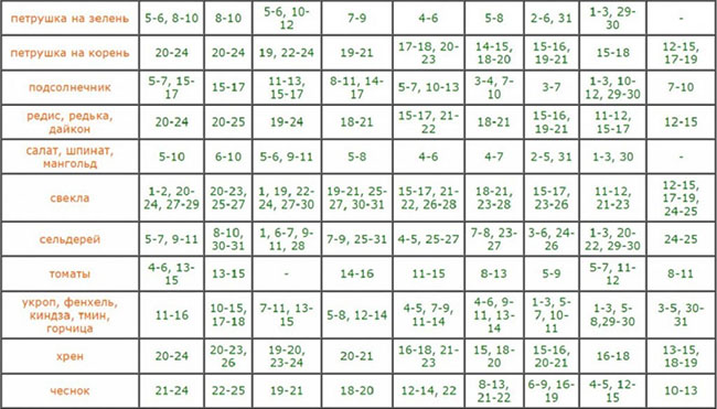 Посевной календарь на май 2018 года для садоводов и огородников России, таблица