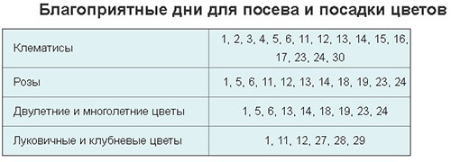 Лунный посевной календарь на сентябрь 2018 для Подмосковья и средней полосы России, таблица для огородников и цветоводов