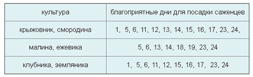 Лунный посевной календарь на сентябрь 2018 для Подмосковья и средней полосы России, таблица для огородников и цветоводов