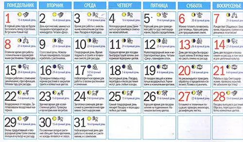 Посевной лунный календарь на январь 2018 для огородников и цветоводов: Таблица для Подмосковья и средней полосы России