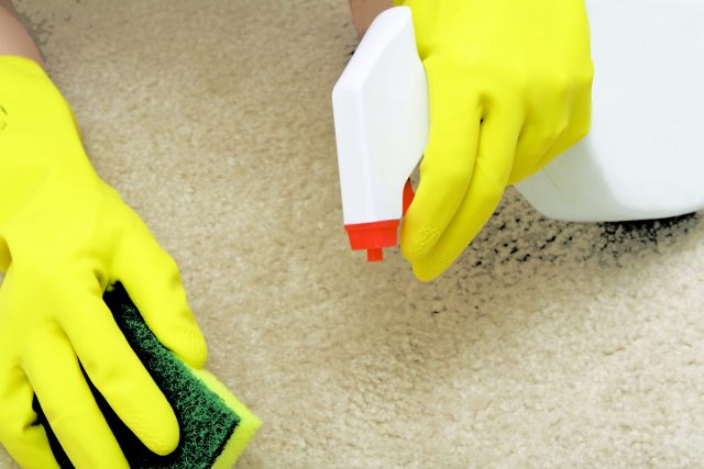 Как почистить ковер в домашних условиях быстро и эффективно: лучшие способы без бытовой химии